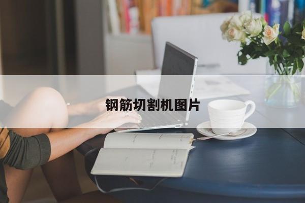 鋼筋切割機圖片