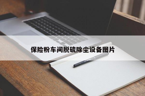 保險粉車間脫硫除塵設備圖片
