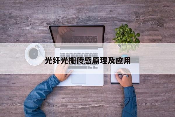 光纖光柵傳感原理及應(yīng)用