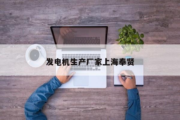 發(fā)電機生產(chǎn)廠家上海奉賢