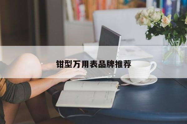 鉗型萬用表品牌推薦